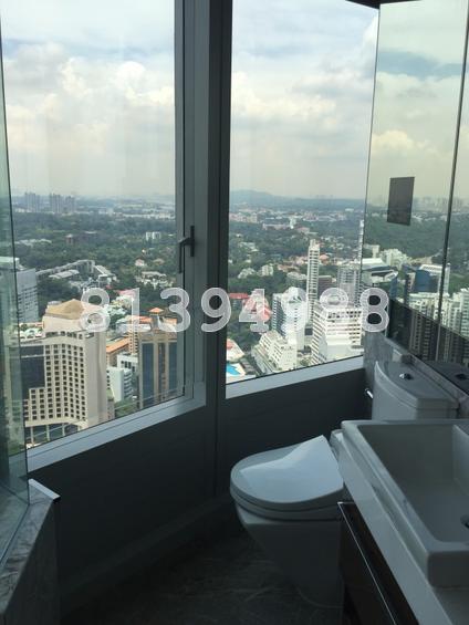 The Orchard Residences (D9), Apartment #133360782